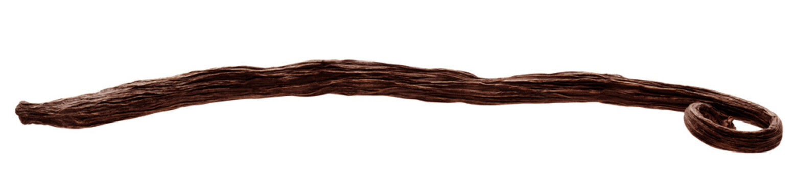 Vanilla bean isolated, full depth of field