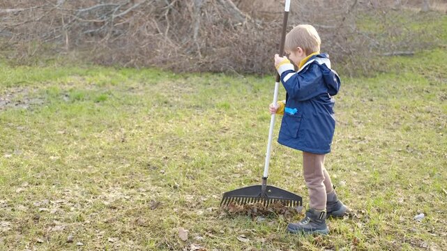 Boy Raking Up Autumn Leaves at the Home Backyard. Fall season. Seasonal garden yard work outside. Busy blonde child helps to mom gardening autumnal lawn. Cute kid learn planting. Young Raker. Chores.