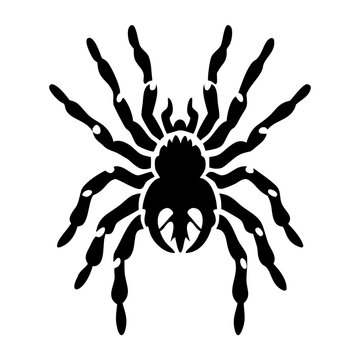 tarantula spider insect wildlife icon silhouette illustration for nature and forest design