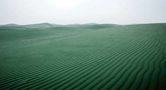 Minimalist Green Sand Dunes, Abstract Desert Landscape with Natural Ripples