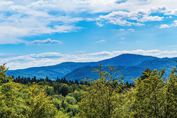 Fototapeta premium Landscapes, Forest, Carpathians, Photos of nature - Europe, Eastern Europe