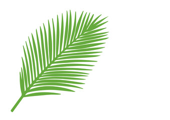 Obraz premium Palm Leaf