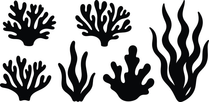 Black coral and seaweed silhouette collection featuring various underwater sea plants and marine kelp elements for ocean nature vector design sets
