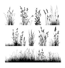 Naklejka premium Wild grass black silhouette vector set. Nature botanical elements meadow plants field clumps overgrown weeds natural herb flora cereal spikes landscape border illustration isolated on white