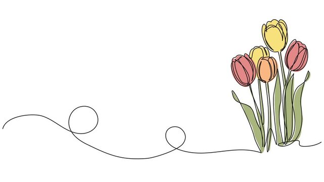 animated continuous single line drawing of beautiful tulips, line art animation