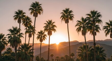 Fototapeta premium Serene tropical sunset with palm trees