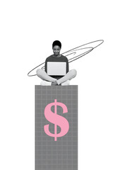 Vertical poster collage young woman freelancer entrepreneur dollar checkered background trader...