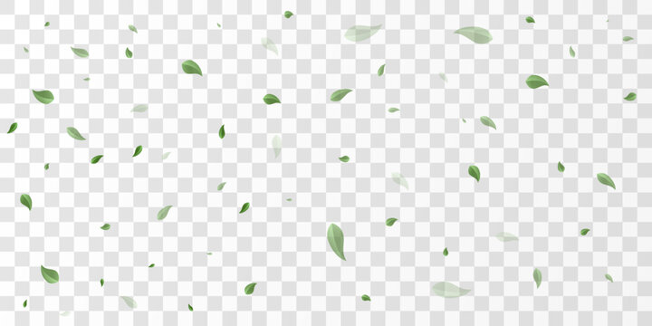 Fresh green leaves flying in air isolated on transparent background, ecology and clean environment concept