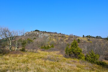 Obraz premium Landscape with grass and bushes in Primorska, Istria, Slovenia