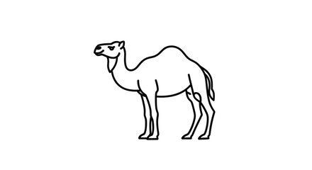 Fototapeta premium Simple Line Drawing of a Camel.