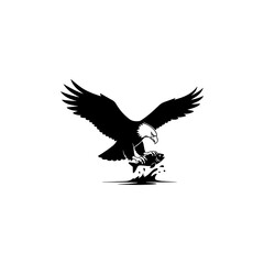 Fototapeta premium Bald eagle catching fish with outstretched wings in water wildlife illustration