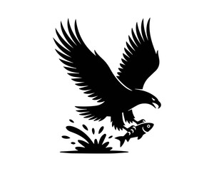 Fototapeta premium eagle in the sky