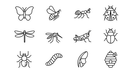 Insects and bugs in simple line art style for design use © Muneeb