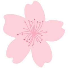 Japanese spring floral elements for background, pattern and frame design.