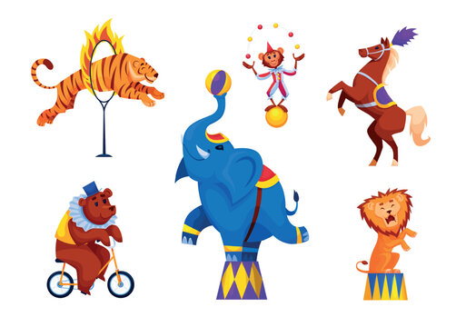 Cartoon circus animals. Carnival show animal, lion fire cute bear tiger fun elephant monkey acrobat clown ball juggler horse child birthday party qualitative vector illustration