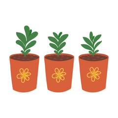 Fototapeta premium Green plants in ceramic pots in flat cartoon design. Vector illustration