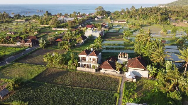 Aerial drone orbiting left above tropical rice fields in Amed, Bali, Indonesia.