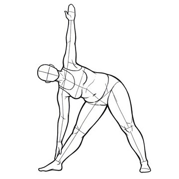 Hand drawn line art of plus size female triangle yoga pose. Figure drawing template.