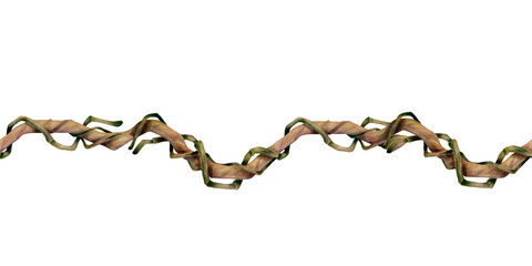 Seamless tropical border with twisted jungle vine branch and climbing plant stems. Botanical repeat design for fabric, textile, wallpaper, wrapping paper, packaging, banner and decor. © Alona