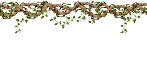 Seamless tropical border with twisted jungle vine branches and small green leaves. Botanical design for fabric, textile, wallpaper, wrapping paper, packaging, banner and decorative surface design. © Alona