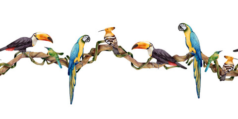 Tropical seamless border with macaw, toucan and hoopoe sitting on twisted jungle vine branches. Exotic rainforest illustration for fabric, textile, wallpaper, wrapping paper, packaging and decor. © Alona
