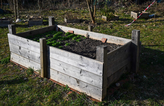 raised wooden planter box in sunny garden preparing for spring vegetable planting