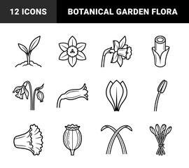 Naklejka premium Spring daffodil and narcissus botanical anatomy line art. Minimalist monoline floral elements for garden branding and biological diagrams.