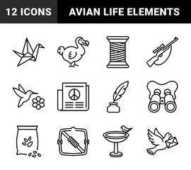 Fototapeta premium Avian life and bird watching equipment in a minimalist monoline aesthetic. Technical line art featuring wild birds, feeding accessories, and ornithology tools.