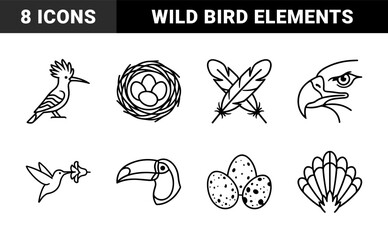 Fototapeta premium Avian life and ornithology research elements featuring hoopoe, flamingo, and toucan. Technical monoline bird species and nesting symbols for nature education.