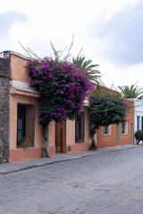 Fototapeta premium street in the old town of crete
