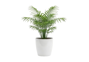 Fototapeta premium Lush green fern plant in a white pot isolated on transparent background