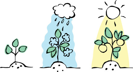 growth of a young plant, flowering and fruiting, rain and sun for the plant, bold grunge curved lines