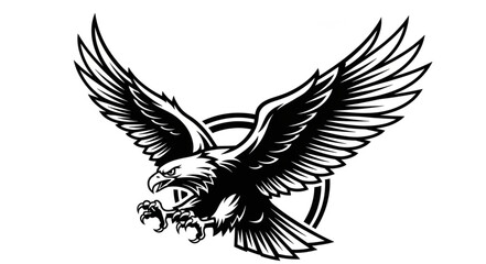 Obraz premium eagle with wings