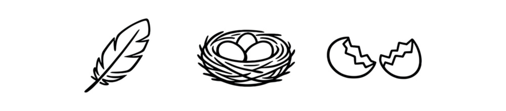 Simple black outline icons showing a feather, a bird nest holding three eggs, and a pair of cracked eggshell halves &mdash; a minimal icon set for nature, birdwatching, or nursery graphics.