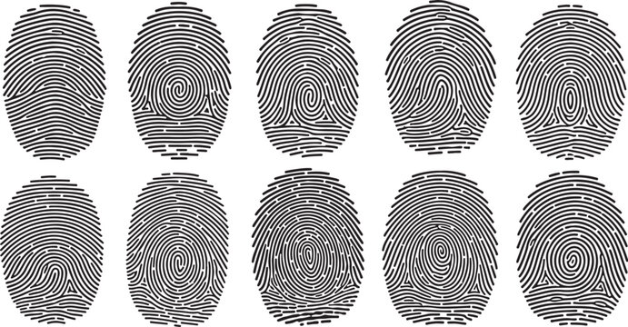 Collection of unique fingerprint patterns on white background closeup