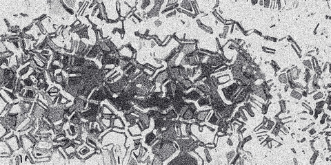 Intricate geometric grayscale pattern with a distressed textured overlay resembling cracked ice or cellular structures for abstract backgrounds