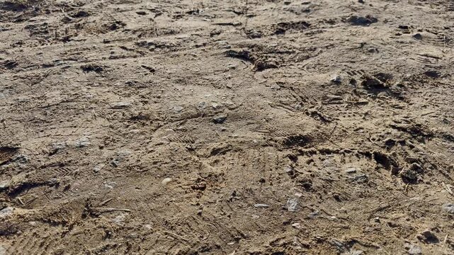 Sandy ground texture with footprints and tire tracks, dry soil surface background, outdoor earth pattern and natural landscape details