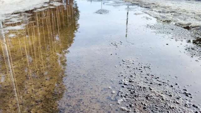 Spring puddle of melt water on a rural road with forest reflection, seasonal thaw, wet asphalt texture and early spring background