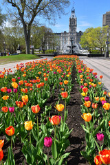 The parliament garden in spring, Qu&eacute;bec, Canada