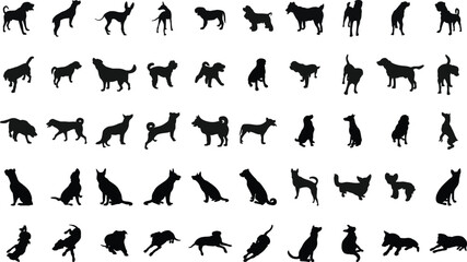 Dog Breeds with Names Chart © Usama Zahoor