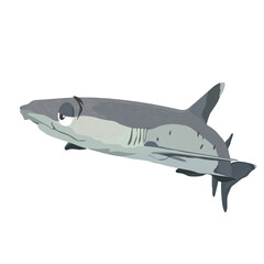 Obraz premium Detailed Whitetip Shark Marine Artwork