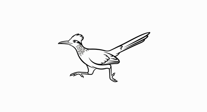A stylized black and white line drawing of a roadrunner in mid-stride