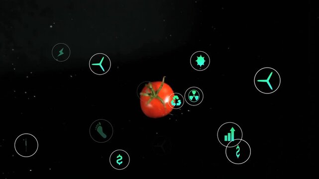 Tomato entering frame, neon-green icons appearing and orbiting, visualizing sustainability metrics