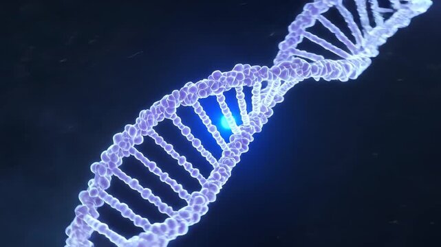 Glowing DNA double helix structure rotating in dark background, abstract genetic molecule visualization representing biotechnology, medical research, molecular biology, and science innovation.