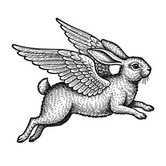 Naklejka premium flying rabbit with wings vintage sketch