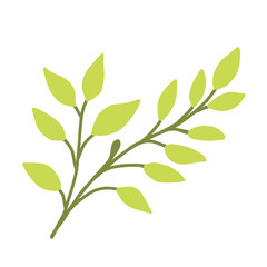 Fototapeta premium Vector illustration of spring plant. Green leaves and branches.