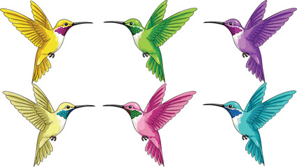 Colorful Hummingbird Collection Vector Illustration Featuring Flying Tropical Birds in Different Vibrant Feather  © Sukhi