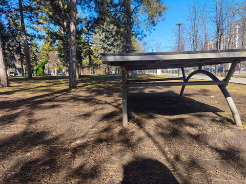 Metal park table under tall pine trees casting long shadows on dry ground in sunny urban park during clear blue daytime setting