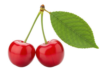 Two ripe red cherries with green leaf isolated on transparent background