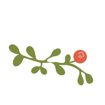 Branch of a tree with green leaves and ewd berry